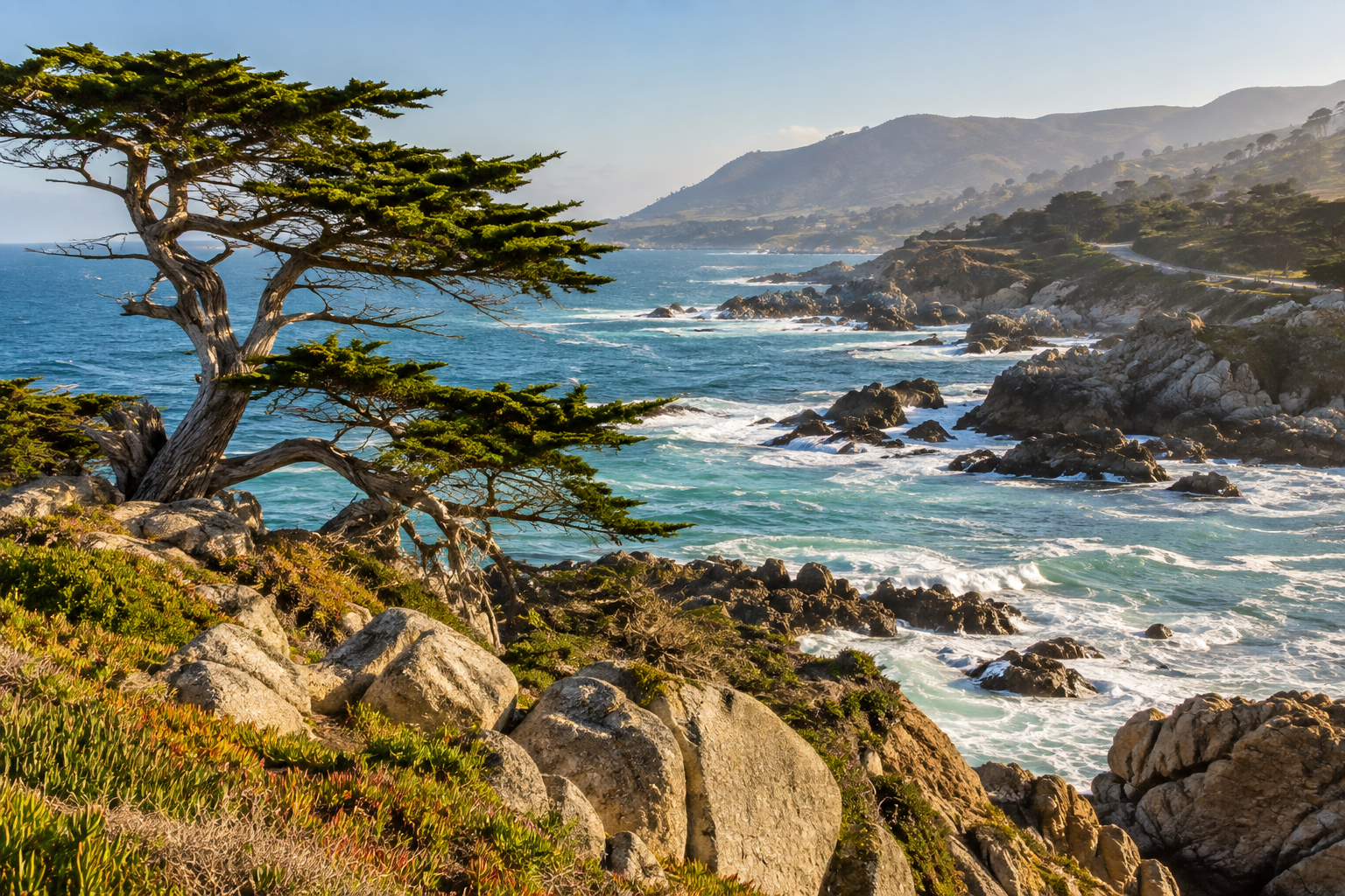 Monterey cypress and rocky Pacific coast